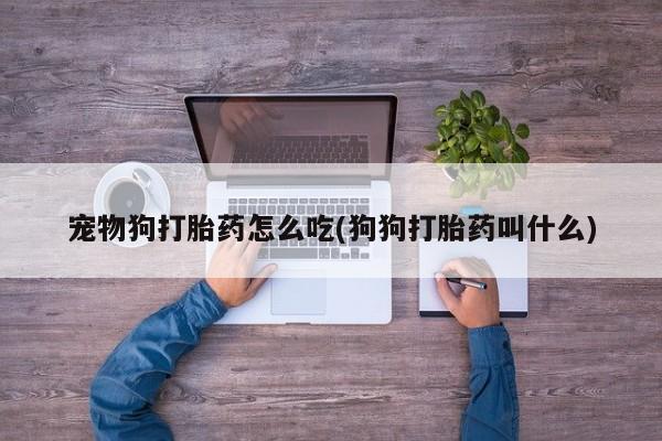 卖正品米非米索购买微信宠物狗打胎药怎么吃(狗狗打胎药叫什么)
