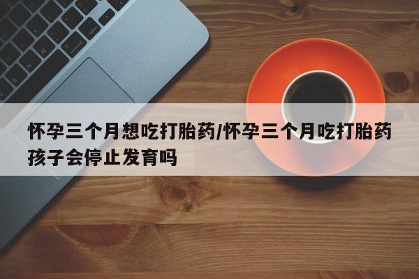 卖正品米非米索购买微信怀孕三个月想吃打胎药/怀孕三个月吃打胎药孩子会停止发育吗