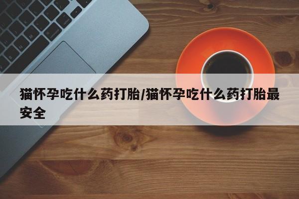 卖正品米非米索购买微信猫怀孕吃什么药打胎/猫怀孕吃什么药打胎最安全