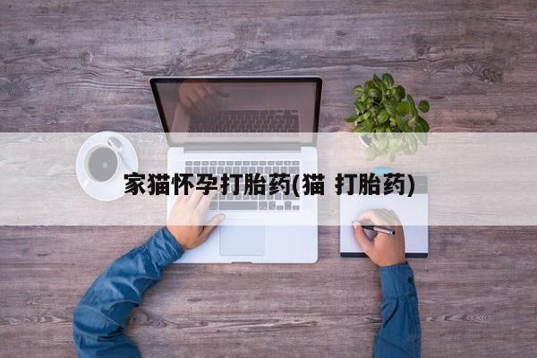 卖正品米非米索购买微信家猫怀孕打胎药(猫 打胎药)